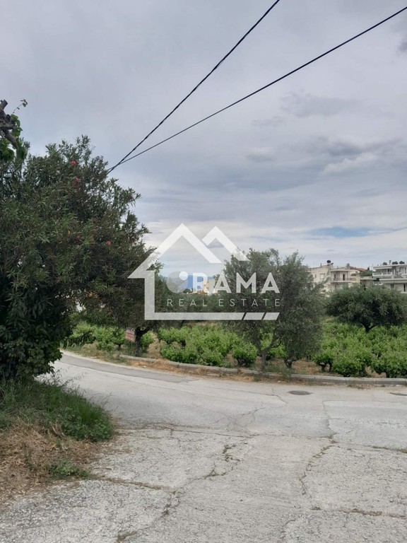 Οικόπεδο 1.804 τ.μ. πρός πώληση, Αχαΐα, Παραλία