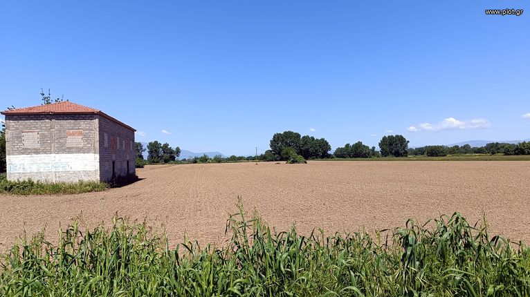 Αγροτεμάχια 43.000 τ.μ. για πώληση, Ν. Καρδίτσας, Μουζάκι