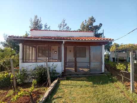 Detached home 40 sqm for sale