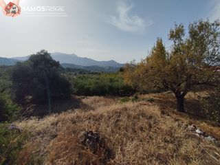 Οικόπεδο 1.486 τ.μ. για πώληση, Ν. Σάμου, Σάμος-thumb-1