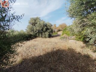 Οικόπεδο 1.486 τ.μ. για πώληση, Ν. Σάμου, Σάμος-thumb-2