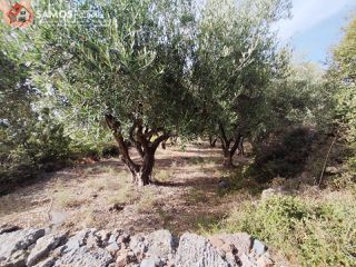 Οικόπεδο 1.486 τ.μ. για πώληση, Ν. Σάμου, Σάμος-thumb-3