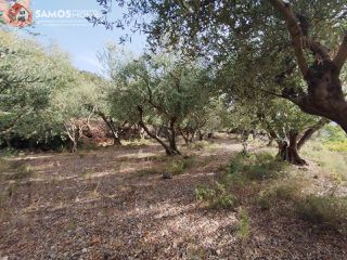 Οικόπεδο 1.486 τ.μ. για πώληση, Ν. Σάμου, Σάμος-thumb-5