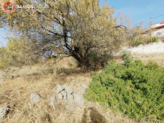 Οικόπεδο 1.486 τ.μ. για πώληση, Ν. Σάμου, Σάμος-thumb-6