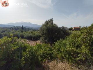 Οικόπεδο 1.486 τ.μ. για πώληση, Ν. Σάμου, Σάμος-thumb-8