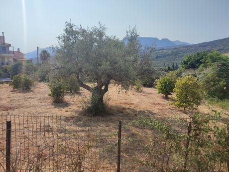 Οικόπεδο 1.000 τ.μ. για πώληση