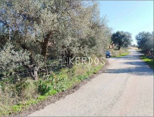 Οικόπεδο 1.584 τ.μ. για πώληση, Ν. Χανίων, Αρμενοί-thumb-5