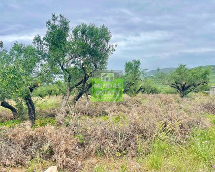 Land plot 1.600sqm for sale-Mithimni » Korfalonas