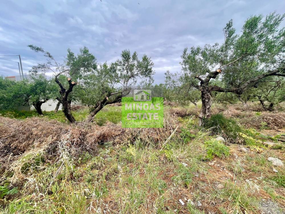Οικόπεδο 1.600 τ.μ. προς πώληση, Ν. Χανίων, Μυθήμνη