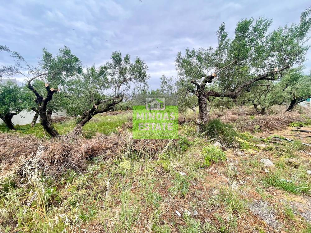 Οικόπεδο 1.600 τ.μ. προς πώληση, Ν. Χανίων, Μυθήμνη