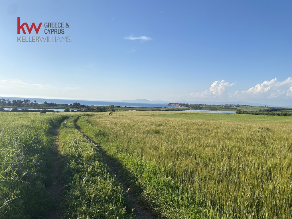 Αγροτεμάχια 20.280 τ.μ. προς πώληση, Σανή