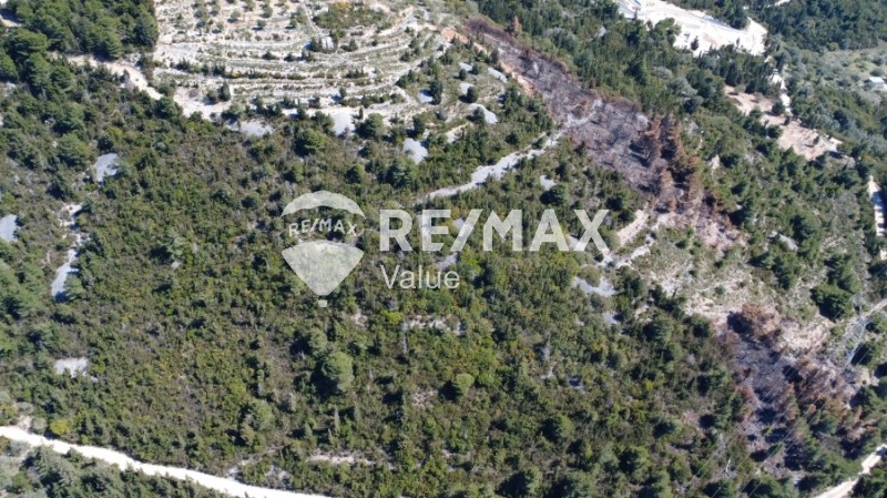 Αγροτεμάχια 12.546 τ.μ. πρός πώληση, Ν. Λευκάδας, Λευκάδα