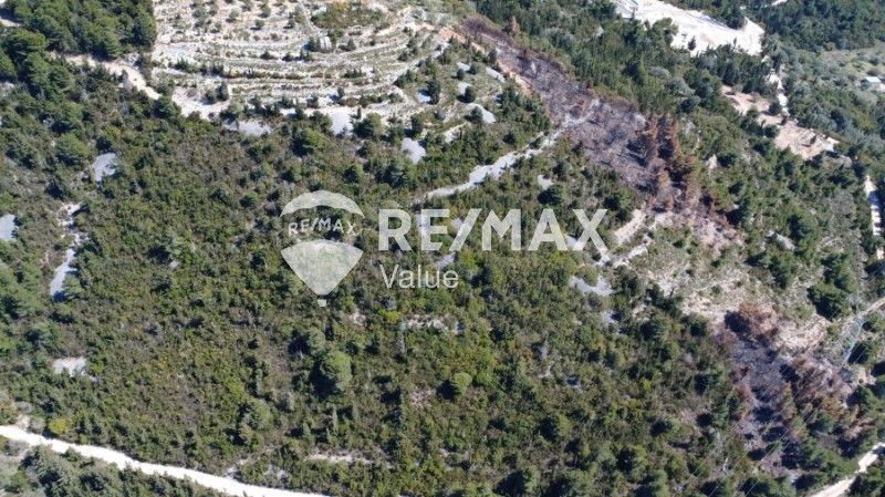 Αγροτεμάχια 12.546 τ.μ. πρός πώληση, Ν. Λευκάδας, Λευκάδα