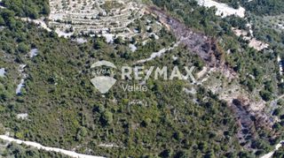 Αγροτεμάχια 12.546 τ.μ. για πώληση, Ν. Λευκάδας, Λευκάδα-thumb-3