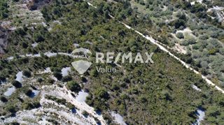 Αγροτεμάχια 12.546 τ.μ. για πώληση, Ν. Λευκάδας, Λευκάδα-thumb-5