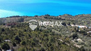 Αγροτεμάχια 12.546 τ.μ. για πώληση, Ν. Λευκάδας, Λευκάδα-thumb-8