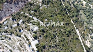 Αγροτεμάχια 12.546 τ.μ. για πώληση, Ν. Λευκάδας, Λευκάδα-thumb-9