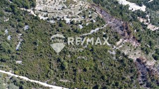 Αγροτεμάχια 12.546 τ.μ. για πώληση, Ν. Λευκάδας, Λευκάδα-thumb-4