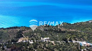 Αγροτεμάχια 12.546 τ.μ. για πώληση
