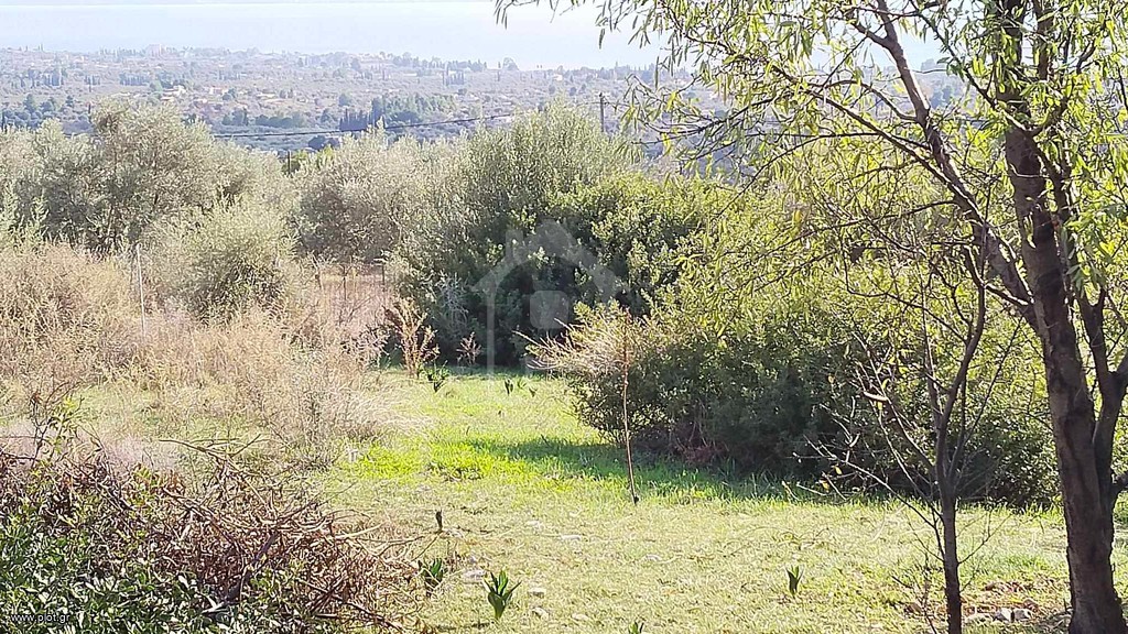 Αγροτεμάχια 700 τ.μ. προς πώληση, Μονή Αγίου Νικολάου Αμαρύνθου