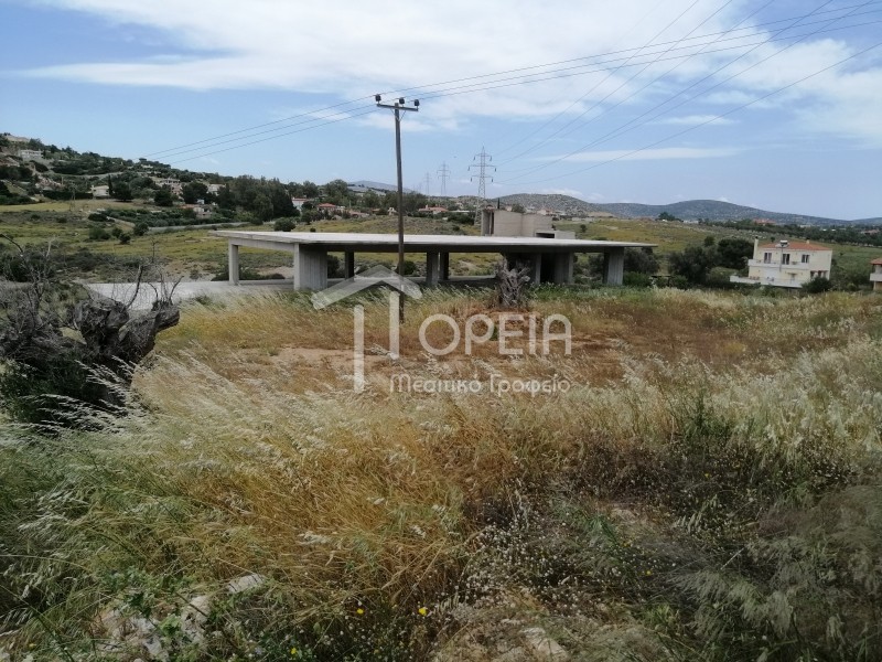 Οικόπεδο 6.500 τ.μ. πρός πώληση, Αττική - Υπόλοιπο, Καλύβια Θορικού