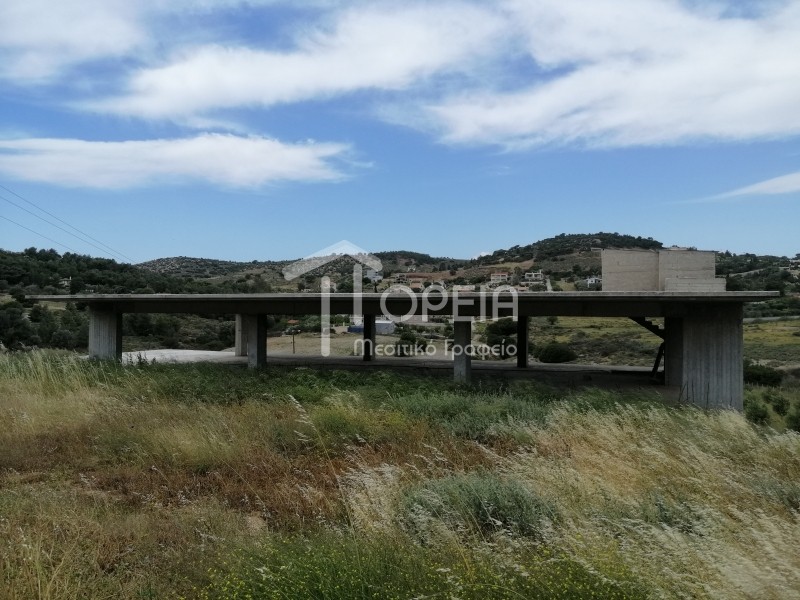 Οικόπεδο 6.500 τ.μ. πρός πώληση, Αττική - Υπόλοιπο, Καλύβια Θορικού
