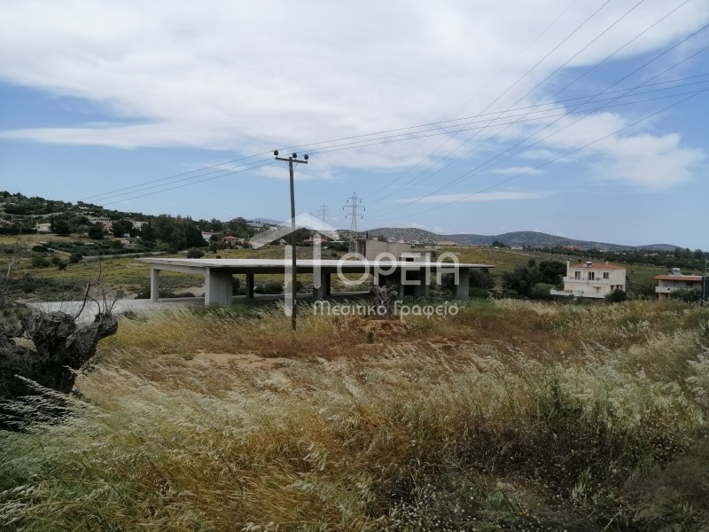 Οικόπεδο 6.500 τ.μ. πρός πώληση, Αττική - Υπόλοιπο, Καλύβια Θορικού