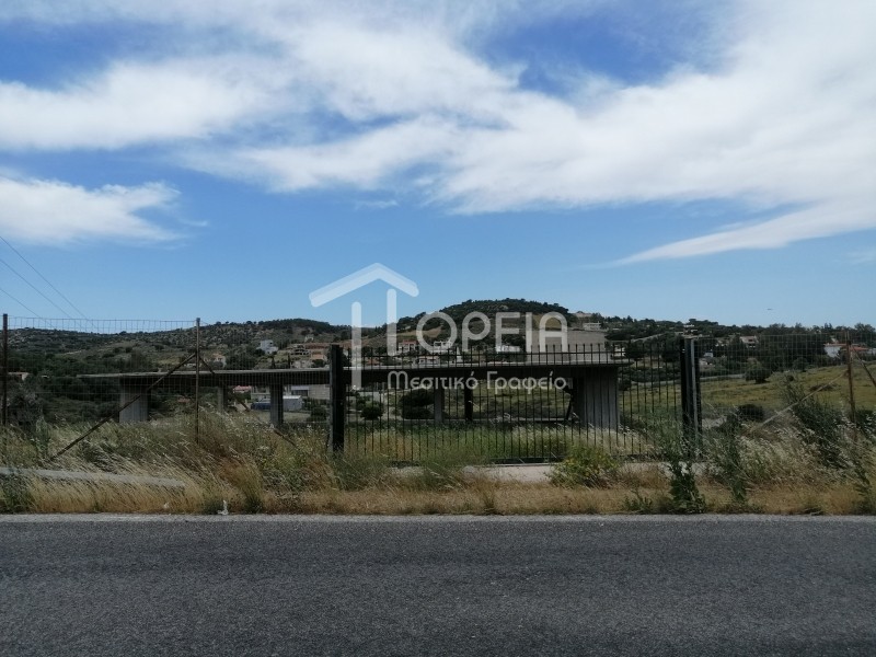Οικόπεδο 6.500 τ.μ. πρός πώληση, Αττική - Υπόλοιπο, Καλύβια Θορικού
