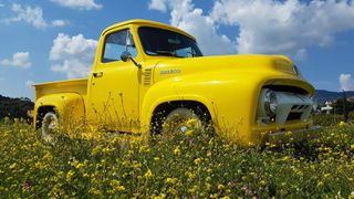 Ford F 100 1955