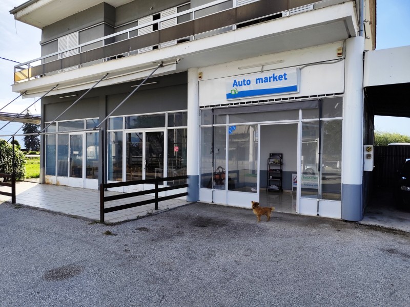 Επιχείρηση 400 τ.μ. πρός ενοικίαση, Ν. Τρικάλων, Βασιλική