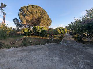 Μονοκατοικία 81 τ.μ. προς ενοικίαση, Παναγιά Αμαλιάδας-thumb-9