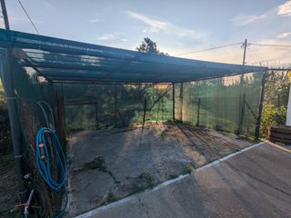 Μονοκατοικία 81 τ.μ. προς ενοικίαση, Παναγιά Αμαλιάδας-thumb-11