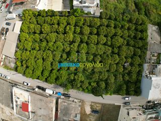 Οικόπεδο 1.600 τ.μ. για πώληση, Αργολίδα, Άργος-thumb-2