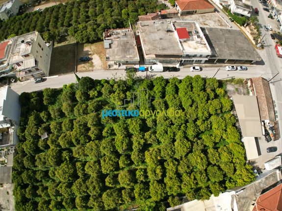 Land plot 1.600 sqm for sale, Argolis, Argos