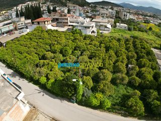 Οικόπεδο 1.600 τ.μ. για πώληση, Αργολίδα, Άργος-thumb-6