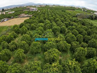 Οικόπεδο 309,07 τ.μ. για πώληση, Αργολίδα, Άργος-thumb-3