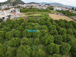 Οικόπεδο 309,07 τ.μ. για πώληση, Αργολίδα, Άργος-thumb-4