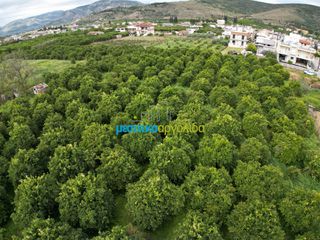 Οικόπεδο 309,07 τ.μ. για πώληση, Αργολίδα, Άργος-thumb-1