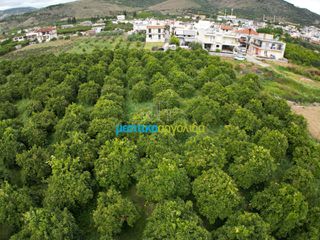 Οικόπεδο 309,07 τ.μ. για πώληση, Αργολίδα, Άργος-thumb-6