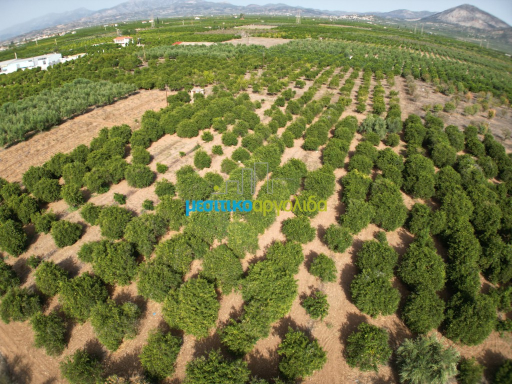 Parcel 19.897 sqm for sale, Inachos, Argos