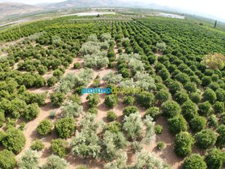 Αγροτεμάχια 19.897 τ.μ. προς πώληση, Ίναχος Άργους-thumb-2
