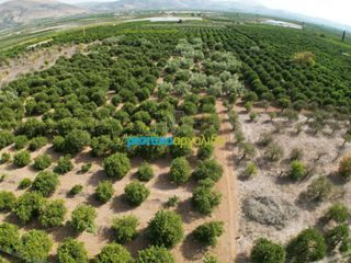 Αγροτεμάχια 19.897 τ.μ. προς πώληση, Ίναχος Άργους-thumb-1