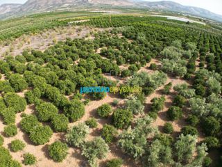 Αγροτεμάχια 19.897 τ.μ. προς πώληση, Ίναχος Άργους-thumb-3