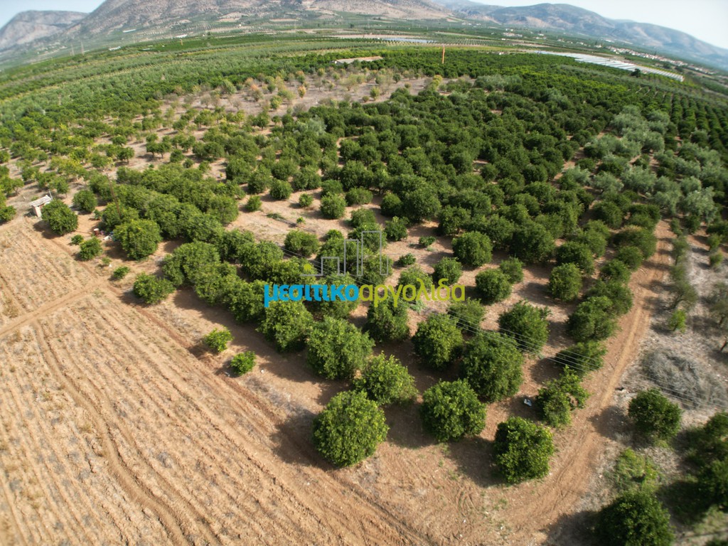 Αγροτεμάχια 19.897 τ.μ. για πώληση, Αργολίδα, Άργος