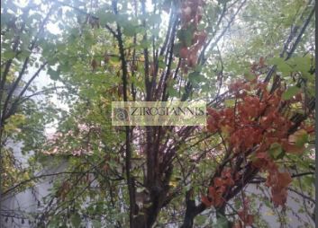 Διαμέρισμα 45 τ.μ. για πώληση