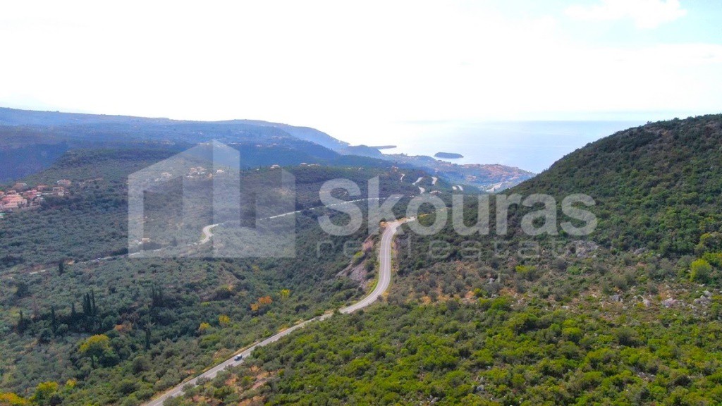 Αγροτεμάχια 21.721,76 τ.μ. προς πώληση, Προσήλιο Λεύκτρου
