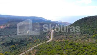 Αγροτεμάχια 21.721,76 τ.μ. προς πώληση, Προσήλιο Λεύκτρου-thumb-1