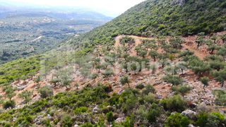Αγροτεμάχια 21.721,76 τ.μ. προς πώληση, Προσήλιο Λεύκτρου-thumb-21