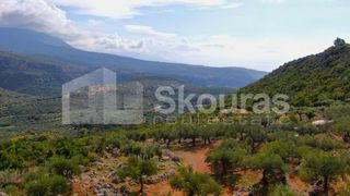 Αγροτεμάχια 21.721,76 τ.μ. προς πώληση, Προσήλιο Λεύκτρου-thumb-7