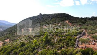 Αγροτεμάχια 21.721,76 τ.μ. προς πώληση, Προσήλιο Λεύκτρου-thumb-17